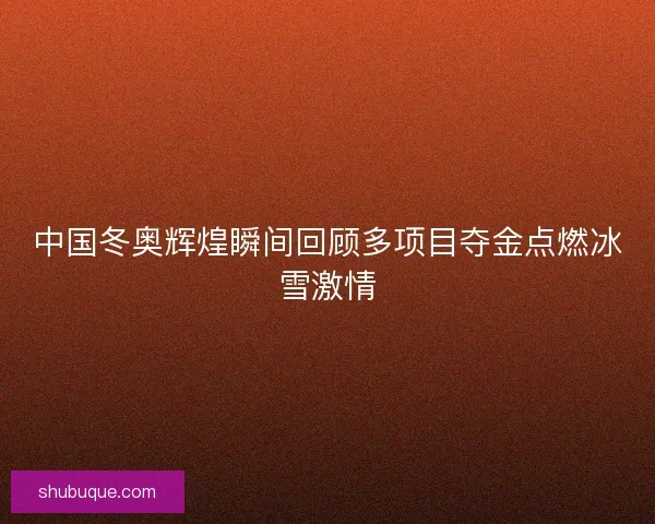 中国冬奥辉煌瞬间回顾多项目夺金点燃冰雪激情